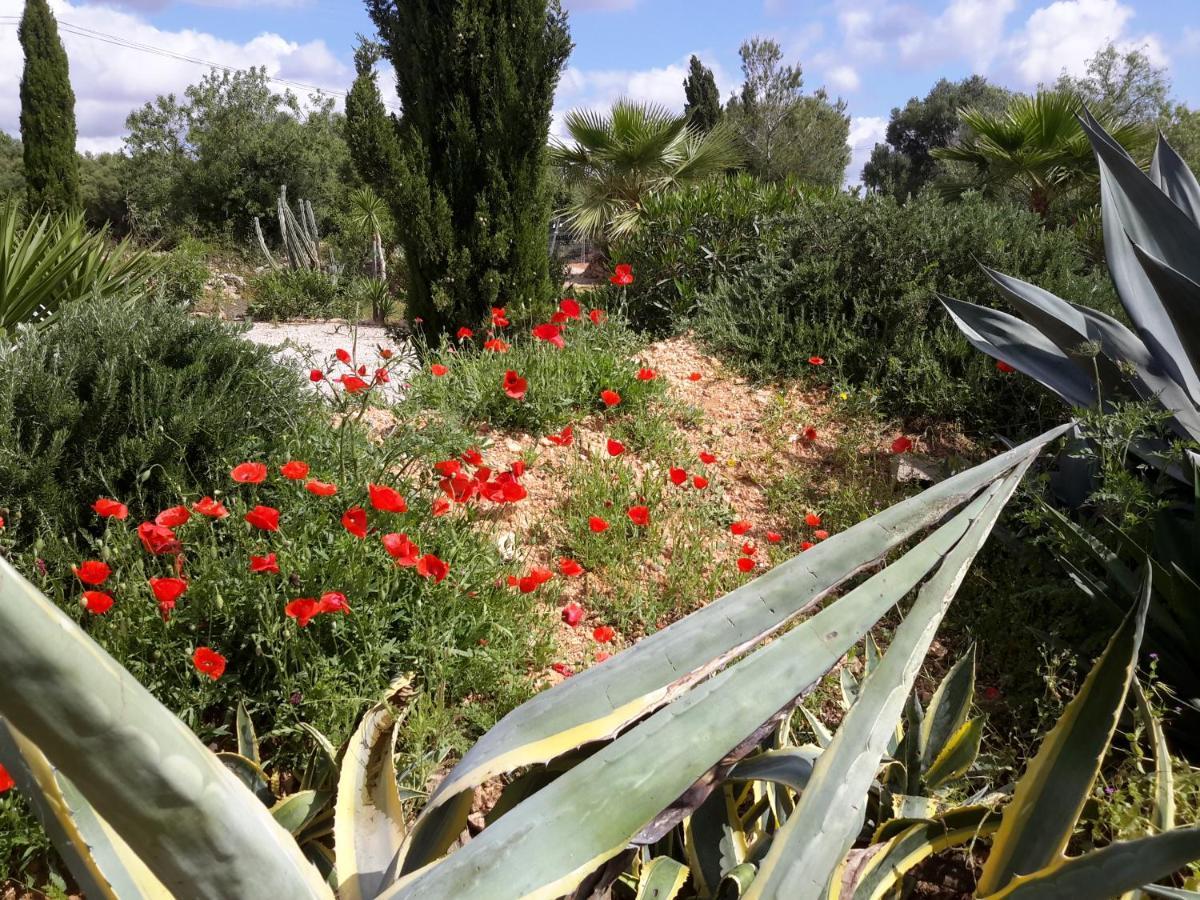 Finca Alqueria Fosca Кампос Екстериор снимка