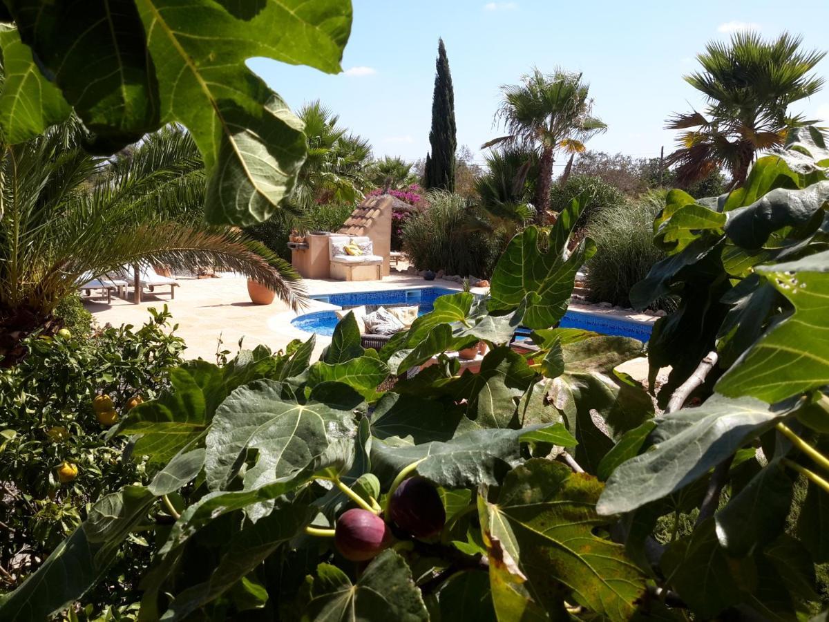 Finca Alqueria Fosca Кампос Екстериор снимка
