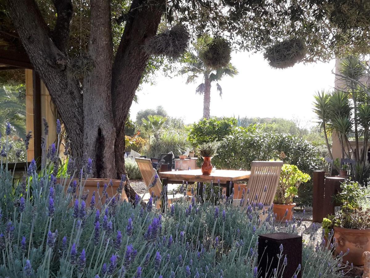 Finca Alqueria Fosca Кампос Екстериор снимка