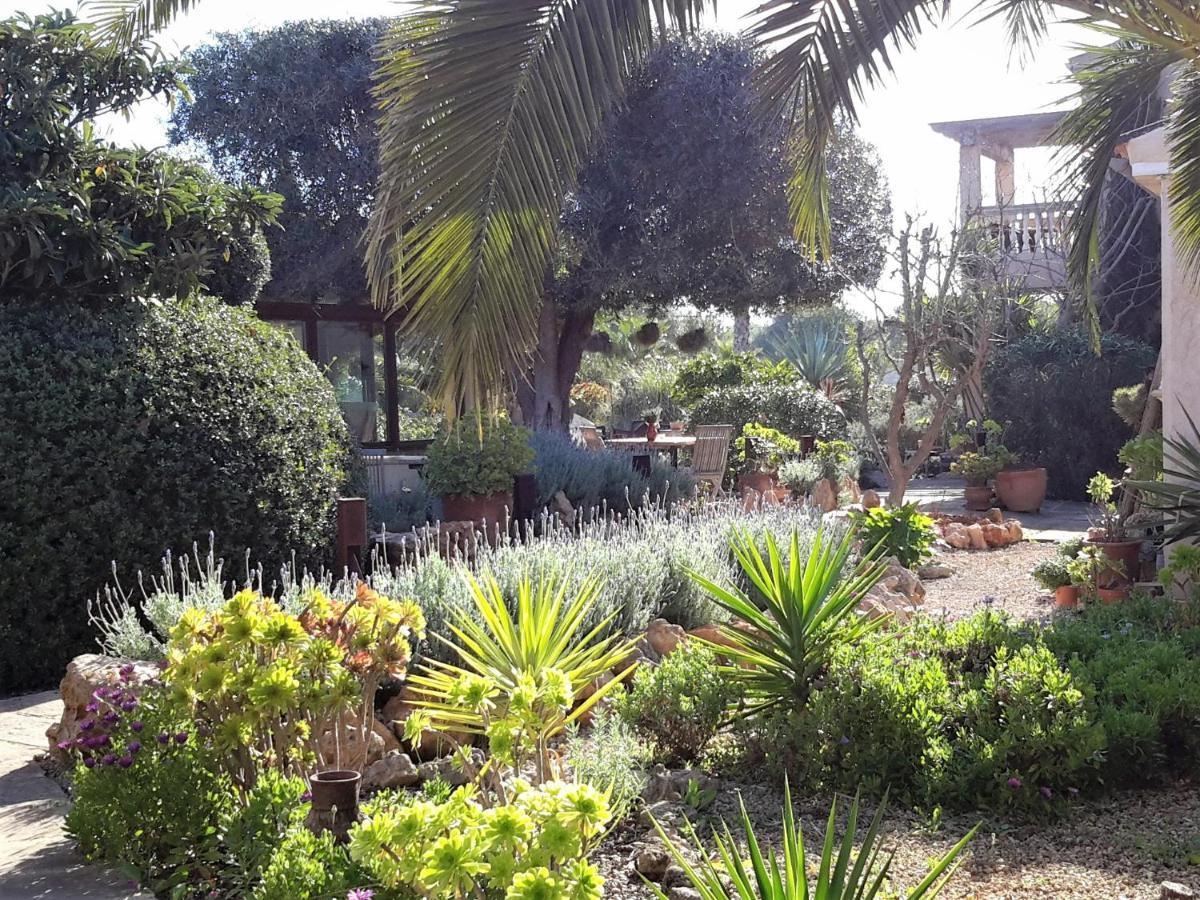 Finca Alqueria Fosca Кампос Екстериор снимка