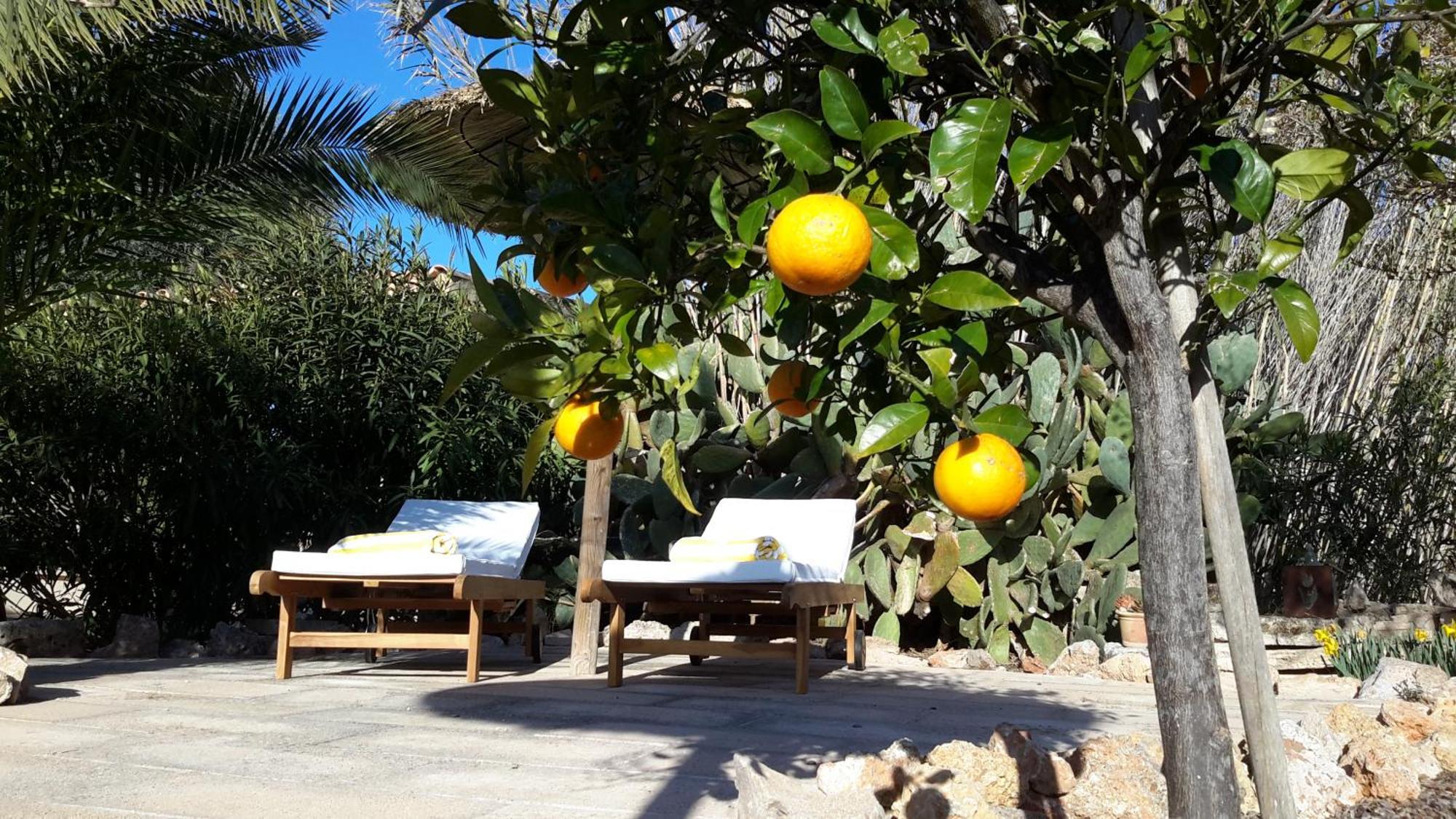 Finca Alqueria Fosca Кампос Екстериор снимка