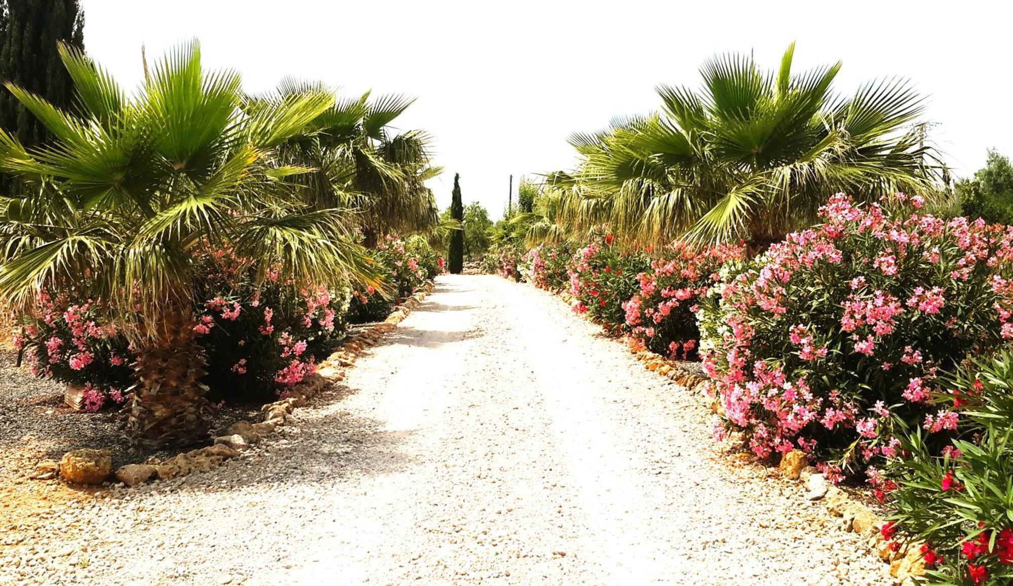 Finca Alqueria Fosca Кампос Екстериор снимка
