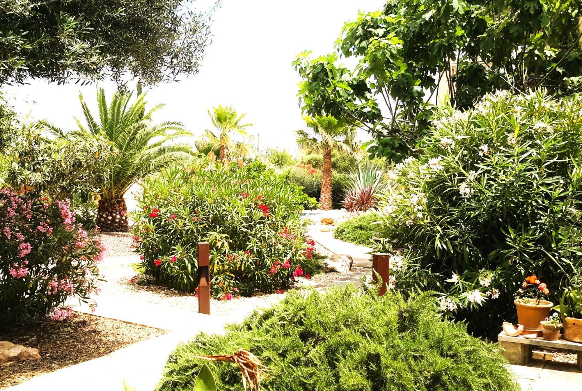Finca Alqueria Fosca Кампос Екстериор снимка
