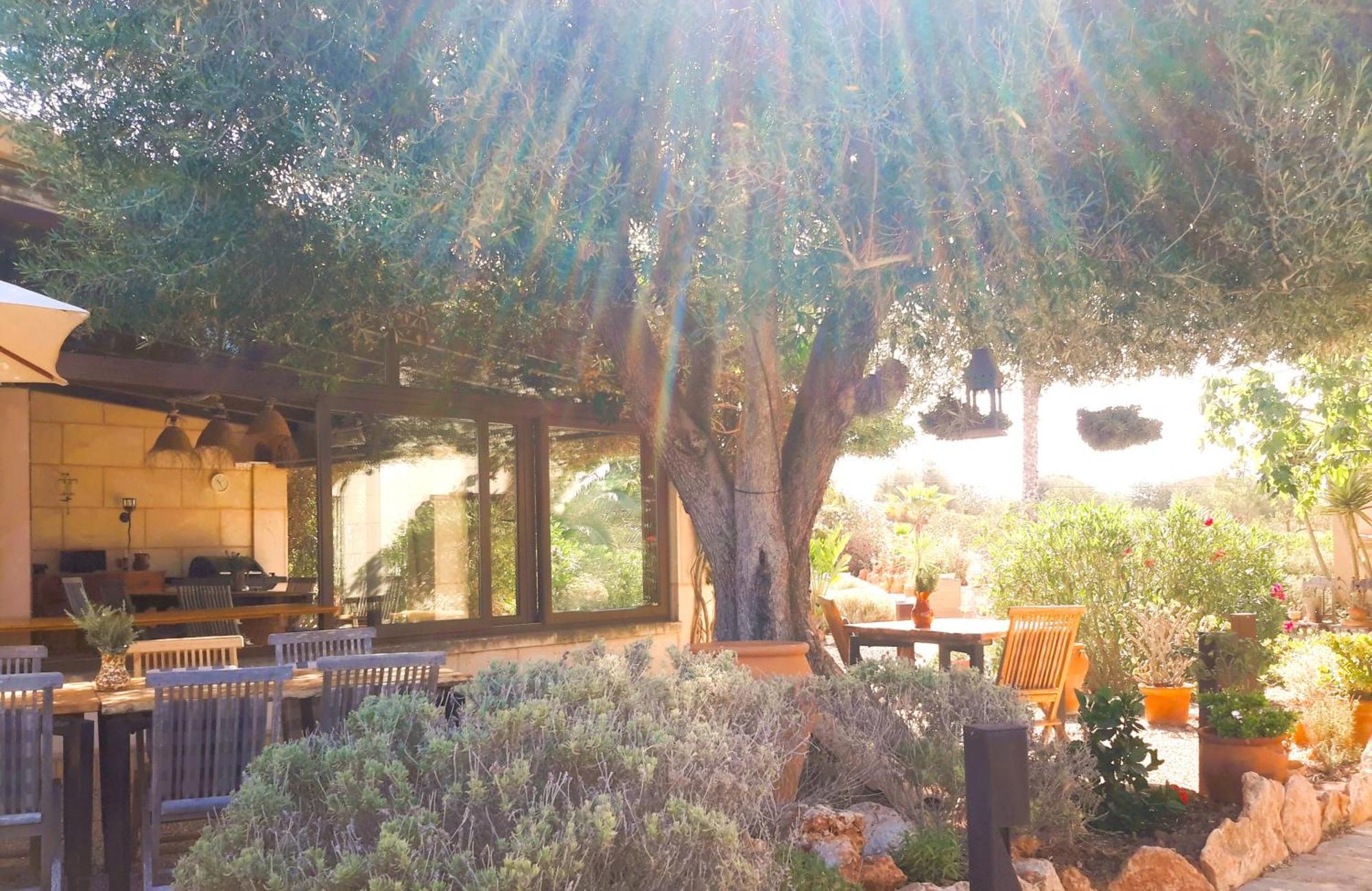 Finca Alqueria Fosca Кампос Екстериор снимка